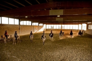  Clases con instructor 